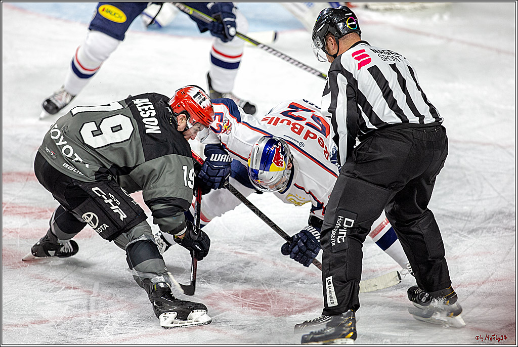 DEL; Koelner Haie - EHC Red Bull Muenchen, 17.02.2019